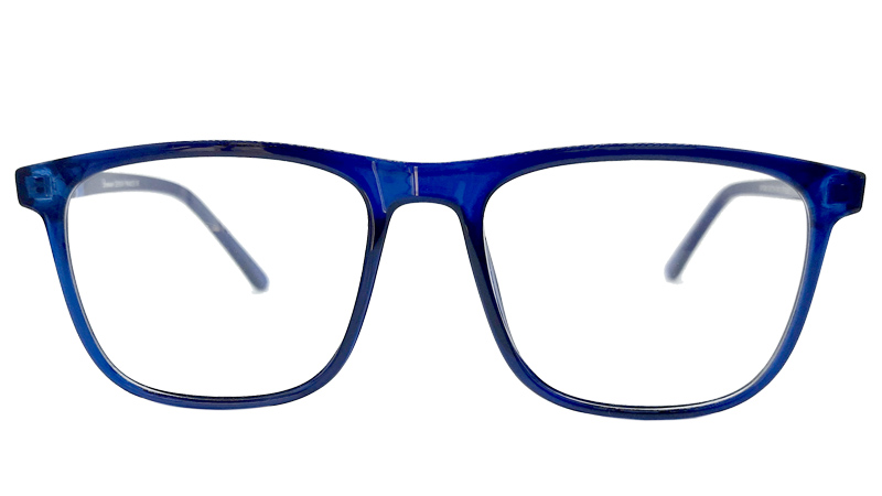 Danson DA1024-DBLU-P Eyeglasses Blue-Cut Package in BD