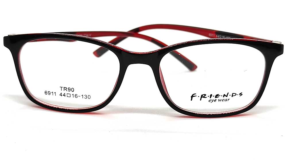 FR6911-RBR : Friends-Girls Eyeglasses Frame